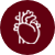 Internal Medicine & Cardiology