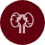 Urology & Nephrology